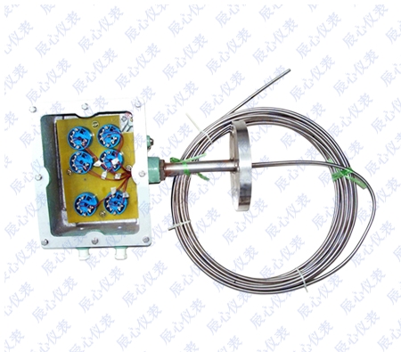 多點型熱電偶熱電阻（zǔ）