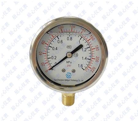 半（bàn）鋼耐震壓力（lì）表