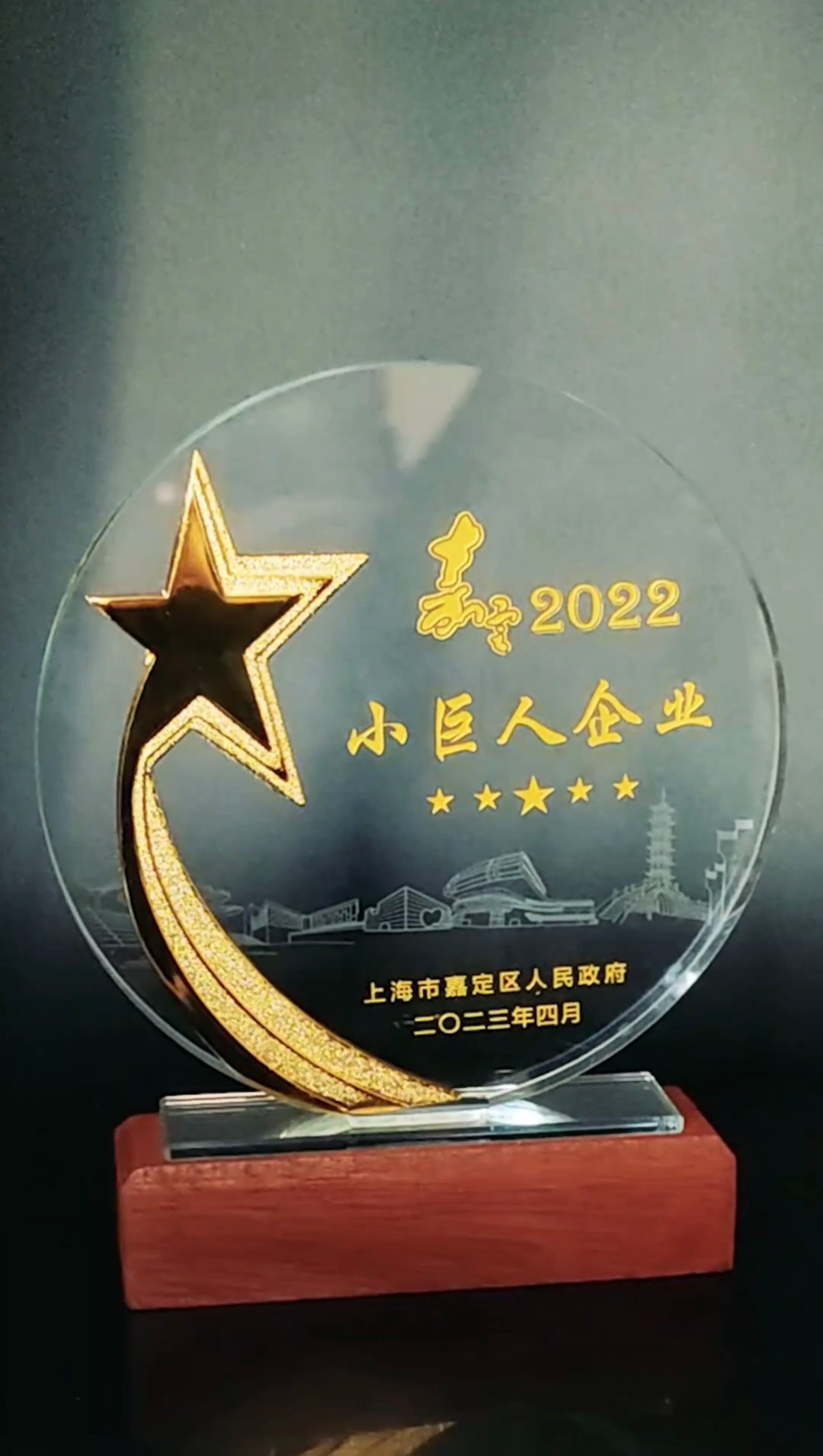 公司喜獲小巨（jù）人企業和創新發展先鋒企業稱號